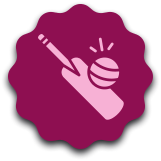 batting icon